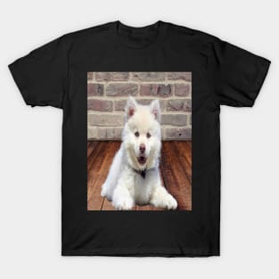 White dog T-Shirt